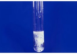 What color is the barium sulfate precipitate?