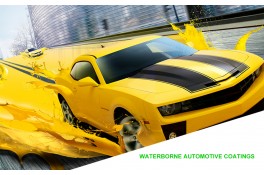 Automotive Paint