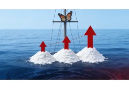 Hormuz's' Butterfly Effect 'is Coming: How should downstream respond to the price increase of titanium dioxide?