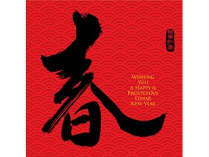 Spring Festival Holidays Spring Festival Holidays