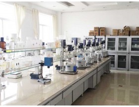 The lab of Xintu chemical factory  The lab of Xintu chemical factory