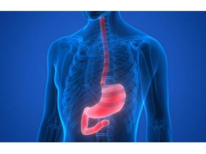 What does barium sulfate do to you? What does barium sulfate do to you?